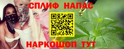 МДПВ Сланцы