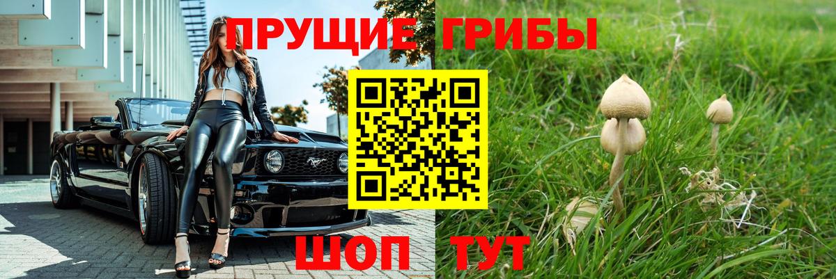 Псилоцибиновые грибы GOLDEN TEACHER Таганрог
