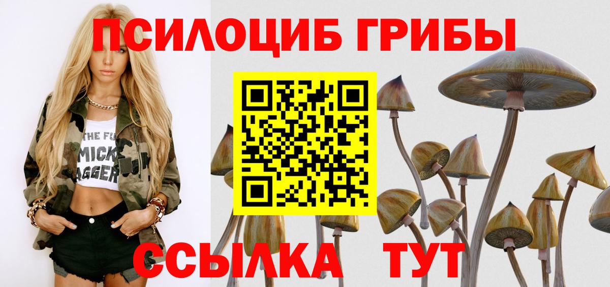 наркота  Псилоцибиновые грибы Psilocybine cubensis  Таганрог  Вход с VPN  Галлюциногенные грибы ЛСД 